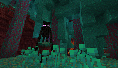 Minecraft Nether Warped Forest 02