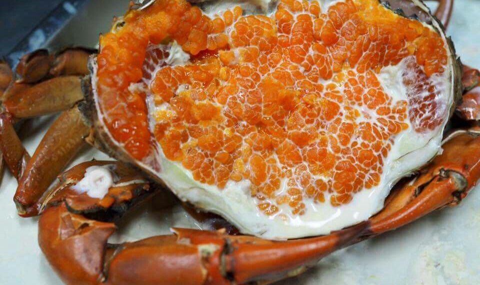 is-crab-roe-high-in-cholesterol-gaming-section-magazine-gaming-e