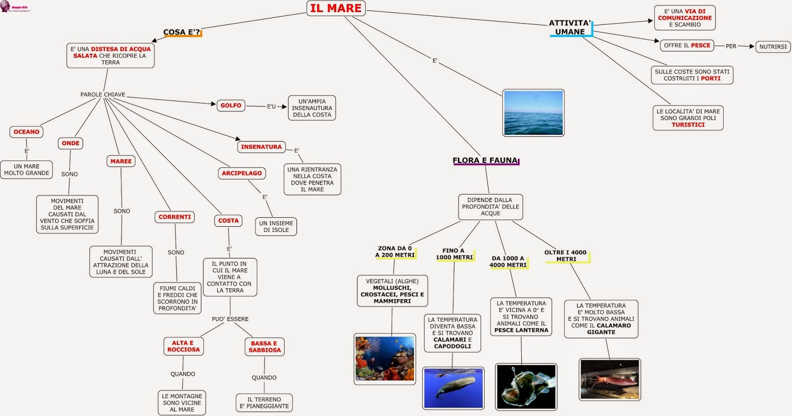 Mappa co ltd