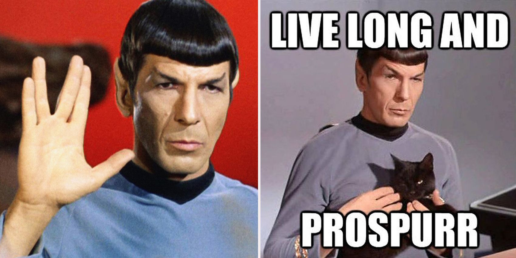 15 Spock Memes que seuls les vrais fans de Star Trek comprendront.