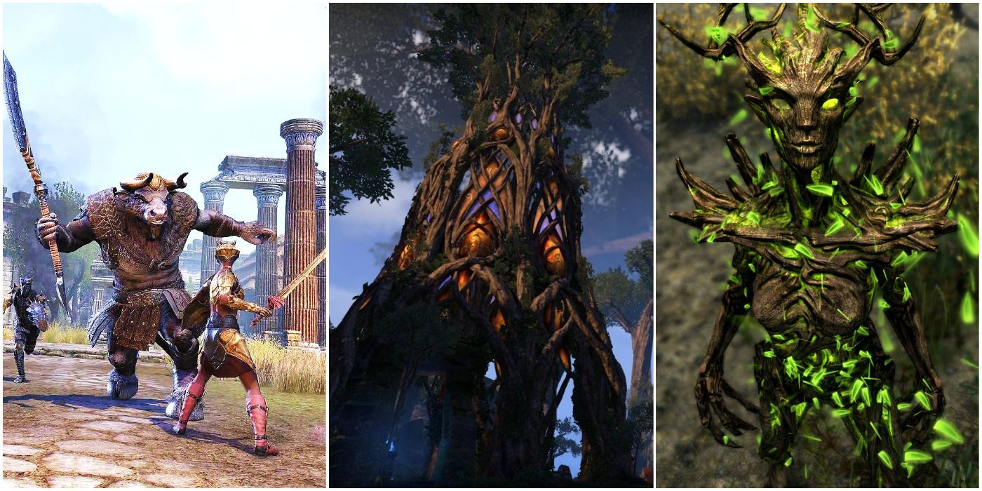 The Elder Scrolls : 7 choses que vous ne saviez pas sur Valenwood ...